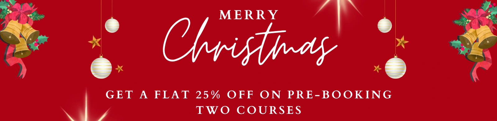 Merry Christmas Training Offer