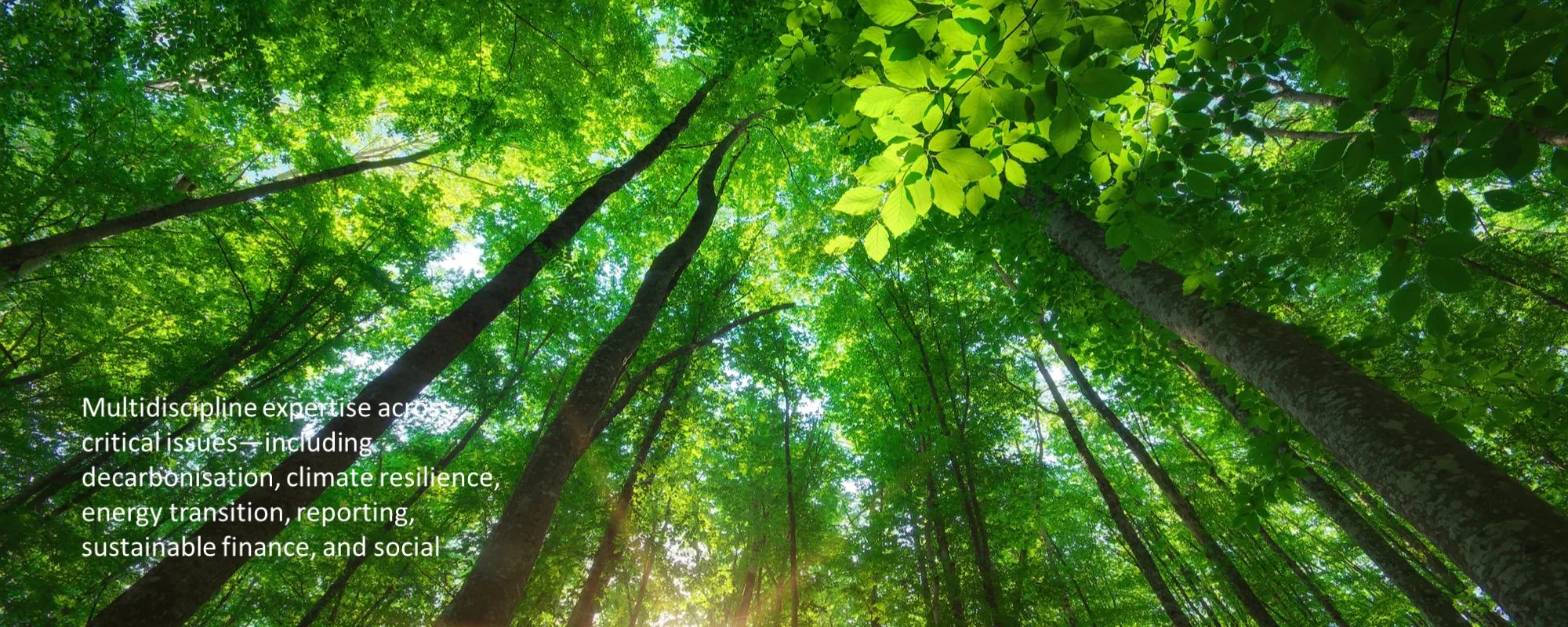 Sustainability