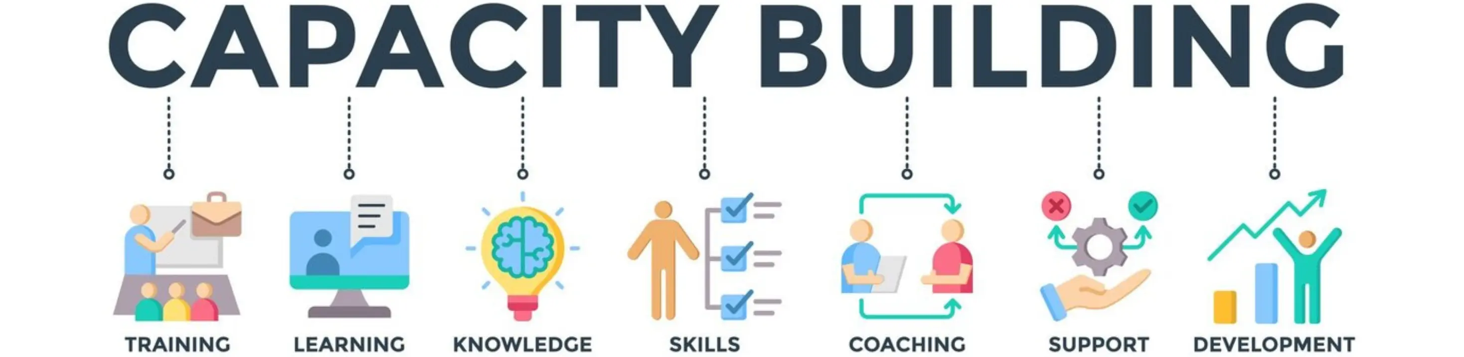 Capacity Building