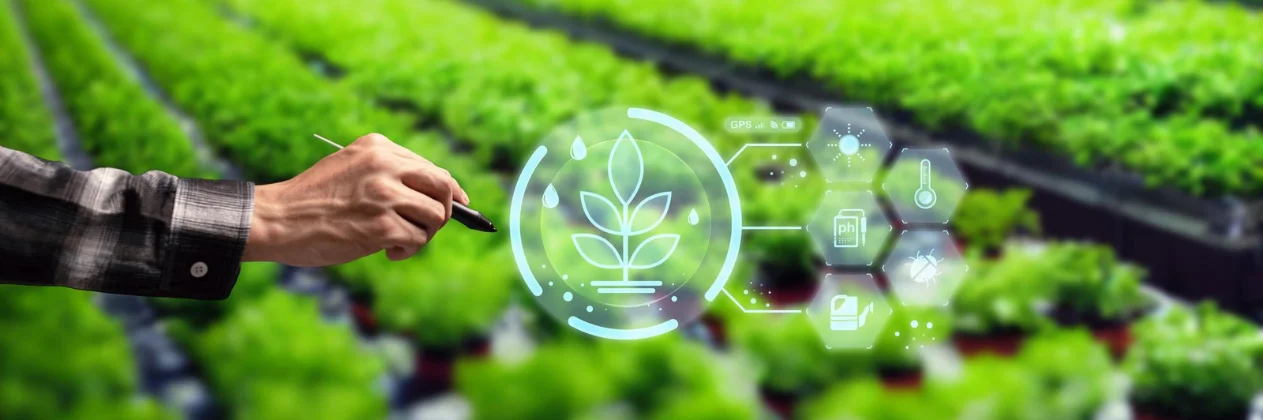 Sustainability Reporting and Assurance 