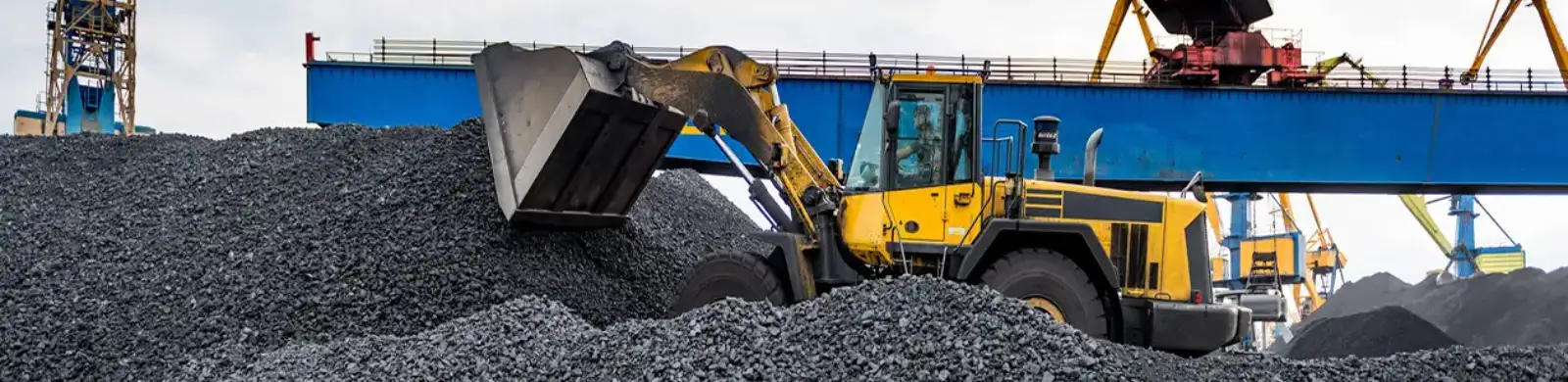 Coal