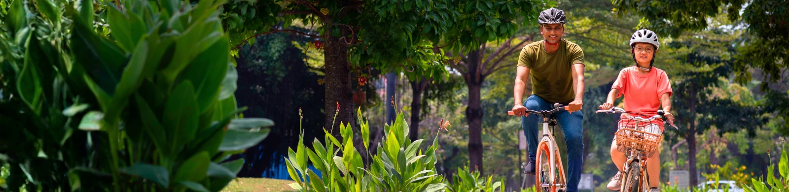 How to Navigate the Revision of ISO 14001:2026?