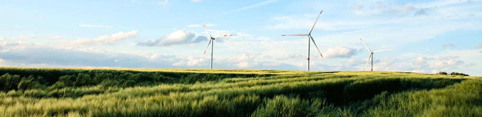 ISO 14001:2026 Is Here. Your Transition Clock Has Started