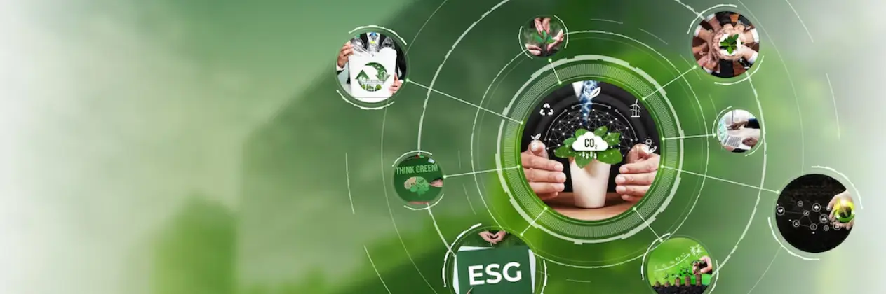 Replay Webinar : Capacity Building Program on ESG
