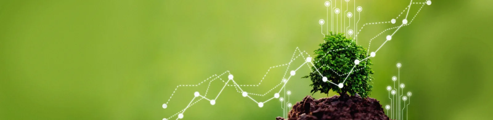 Business Responsibility and Sustainability Reporting (BRSR) Training Course