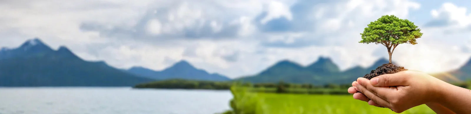 CQI and IRCA Certified EMS ISO 14001:2015 Lead Auditor Course