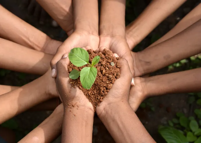 ISO/FDIS 14001:2026 Awareness Training Course